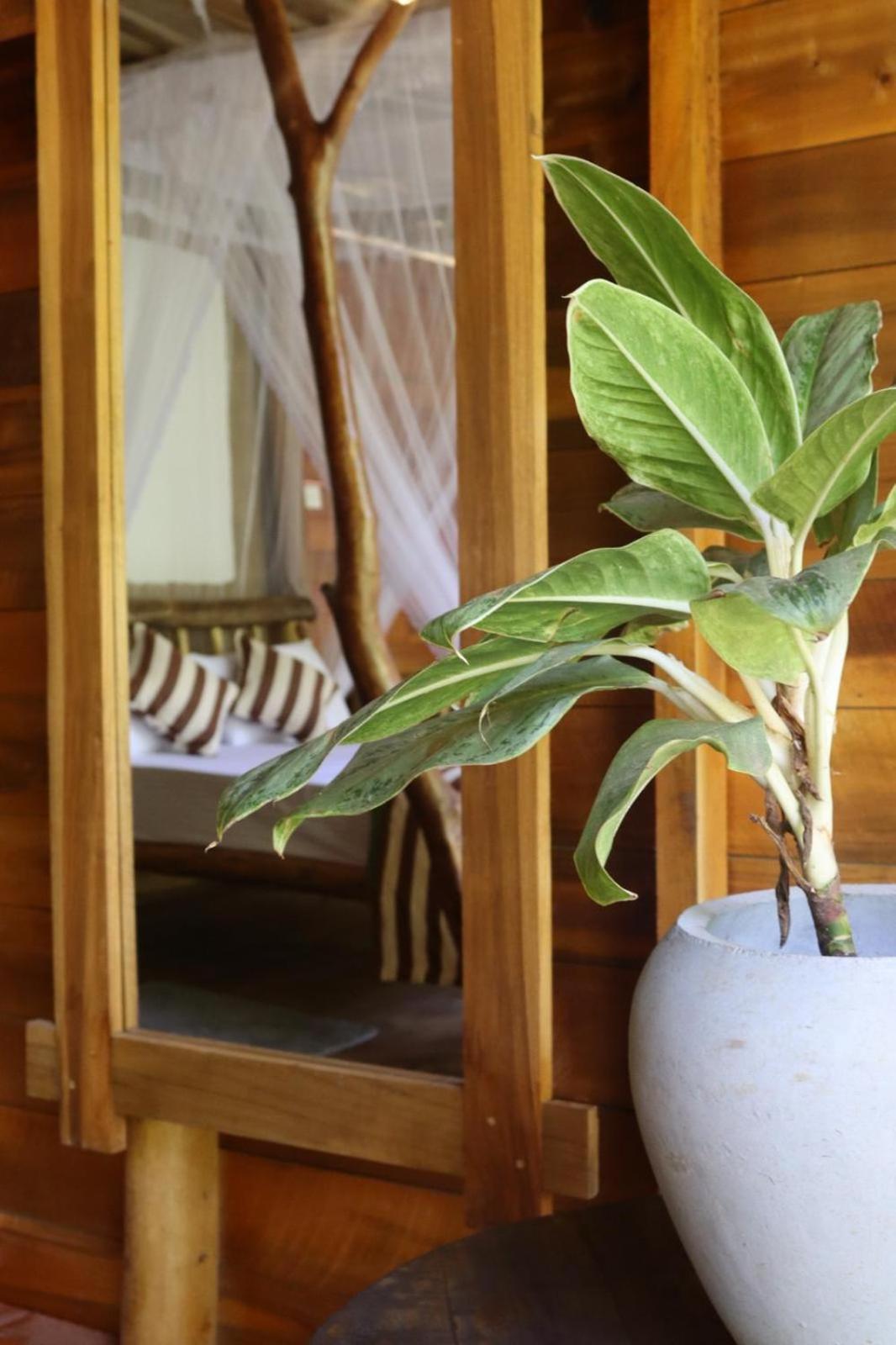 Wood Palace إيلا المظهر الخارجي الصورة