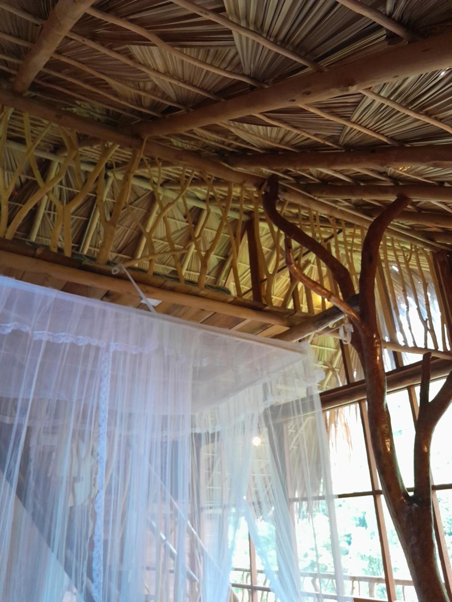 Wood Palace إيلا المظهر الخارجي الصورة