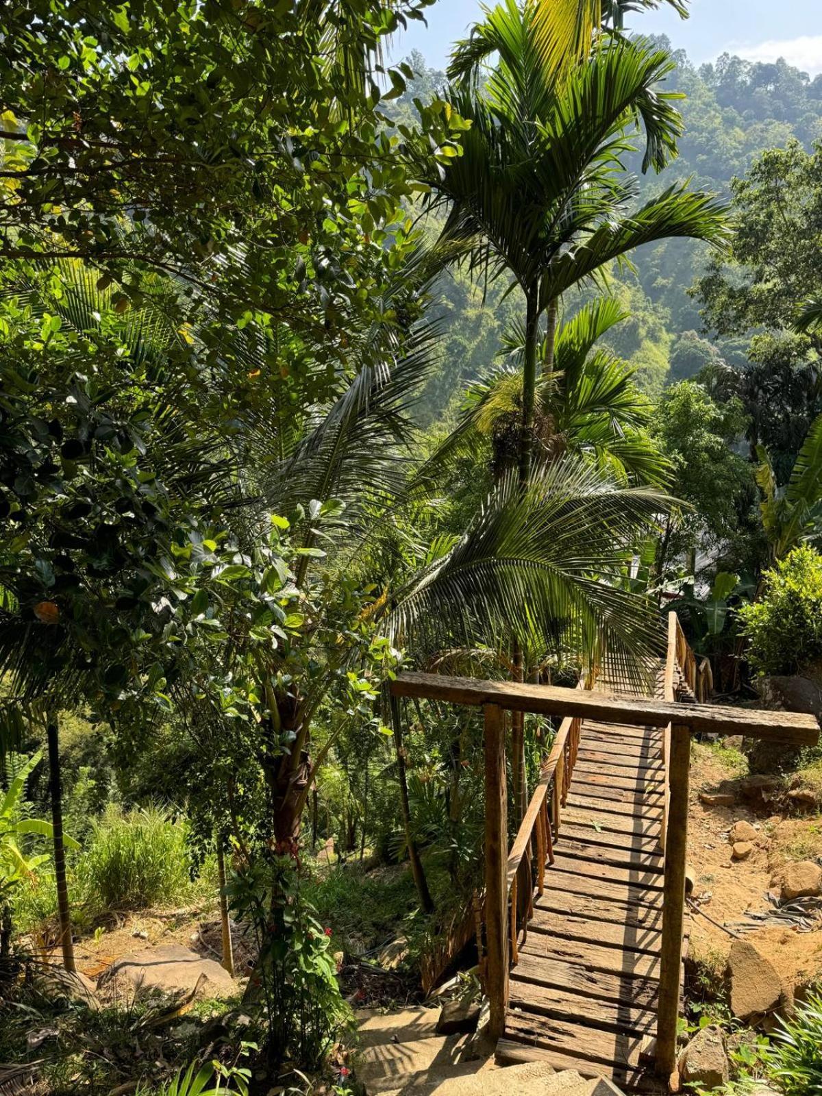 Wood Palace إيلا المظهر الخارجي الصورة